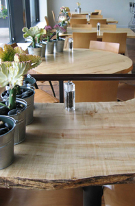 Maple Slab Table